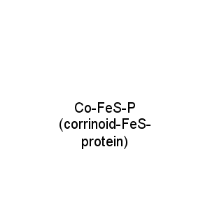 Co-FeS-P (corrinoid-FeS-protein)